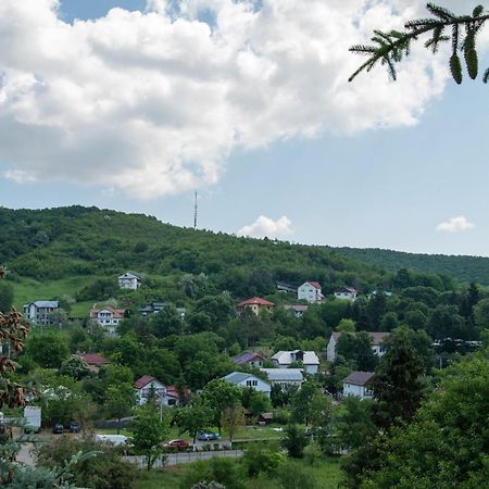 Complex Caprice-Monteoru Hotell Sărata-Monteoru Exteriör bild